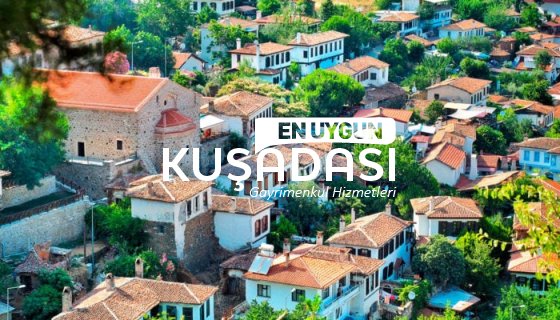SELÇUK ŞİRİNCEDE 5.025 m² SATILIK ZEYTİNLİK